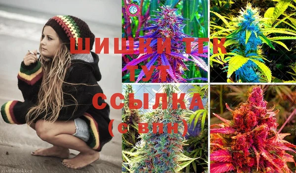 скорость Ельня