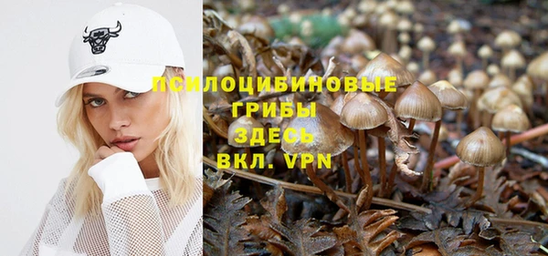 spice Елизово