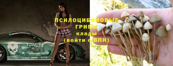 spice Елизово