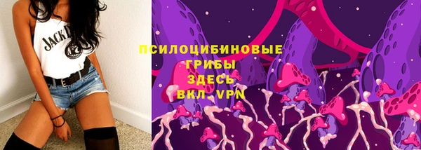 spice Елизово
